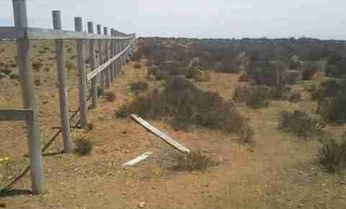 VENTA 3 PARCELAS DE AGRADO EN COSTA DORADA IV REGION