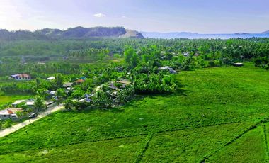 300 m2 / 12,917 ft2 | High-Potential Residential Tourism Estate