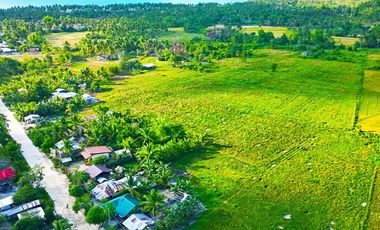 300 m2 / 12,917 ft2 | High-Potential Residential Tourism Estate