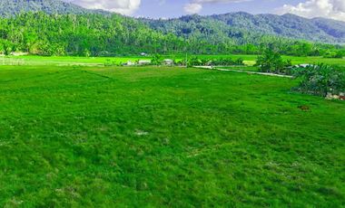 300 m2 / 12,917 ft2 | High-Potential Residential Tourism Estate