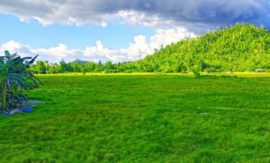 300 m2 / 12,917 ft2 | High-Potential Residential Tourism Estate