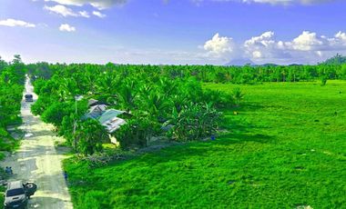 300 m2 / 12,917 ft2 | High-Potential Residential Tourism Estate