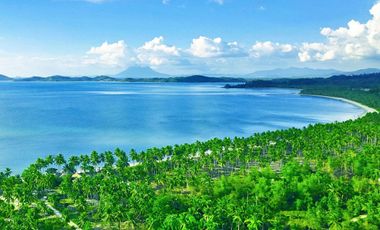 300 m2 / 12,917 ft2 | High-Potential Residential Tourism Estate