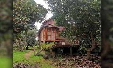 Se Vende Parcela Con Casa Y Paltos En Producción, La Cruz.