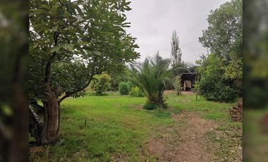 Se Vende Parcela Con Casa Y Paltos En Producción, La Cruz.