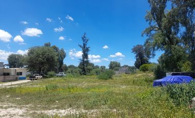 TERRENO EN VENTA EN ACTOPAN, COL DAXTHA