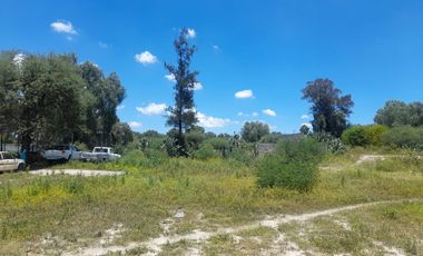 TERRENO EN VENTA EN ACTOPAN, COL DAXTHA