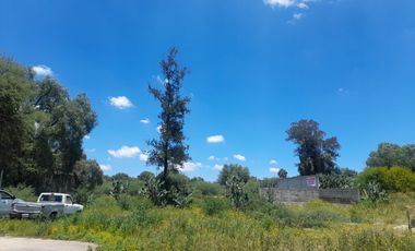 TERRENO EN VENTA EN ACTOPAN, COL DAXTHA