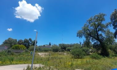 TERRENO EN VENTA EN ACTOPAN, COL DAXTHA