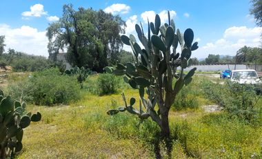 TERRENO EN VENTA EN ACTOPAN, COL DAXTHA