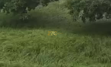 Rush Sale! Sandari Batulao 2 Lots for Sale in Batangas City