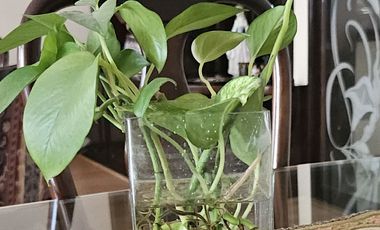 LA CAPITANIA/AV. APOQUINDO/METRO MANQUEHUE