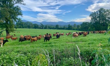Moderna Casa Vistas Al Volcán Villarrica