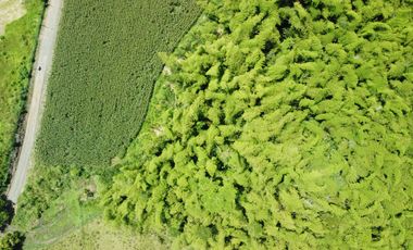 LOTE EN VENTA DE 30.100M2 EN LOS PLANES DE CERRITOS(BILINGUE)