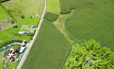 LOTE EN VENTA DE 30.100M2 EN LOS PLANES DE CERRITOS(BILINGUE)