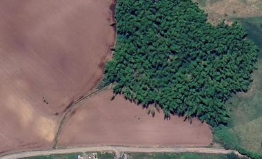 LOTE EN VENTA DE 30.100M2 EN LOS PLANES DE CERRITOS(BILINGUE)