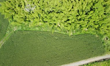 LOTE EN VENTA DE 30.100M2 EN LOS PLANES DE CERRITOS(BILINGUE)