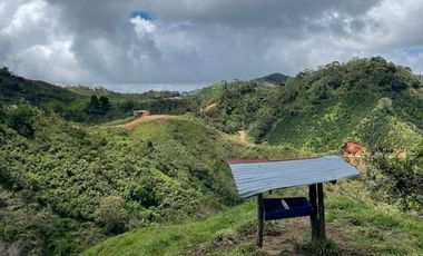 Venta Finca Ganadera y Agrícola en Santo Domingo Antioquia
