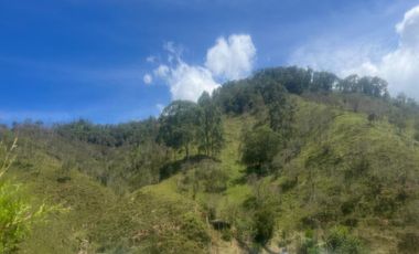Venta Finca Ganadera y Agrícola en Santo Domingo Antioquia