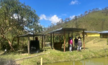 Venta Finca Ganadera y Agrícola en Santo Domingo Antioquia