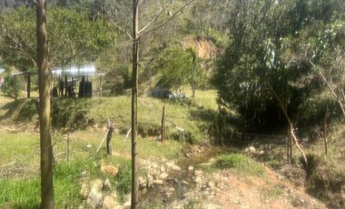 Venta Finca Ganadera y Agrícola en Santo Domingo Antioquia