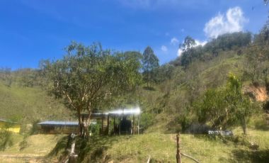 Venta Finca Ganadera y Agrícola en Santo Domingo Antioquia