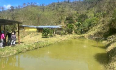 Venta Finca Ganadera y Agrícola en Santo Domingo Antioquia