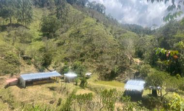 Venta Finca Ganadera y Agrícola en Santo Domingo Antioquia