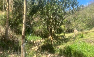 Venta Finca Ganadera y Agrícola en Santo Domingo Antioquia