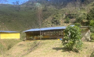 Venta Finca Ganadera y Agrícola en Santo Domingo Antioquia