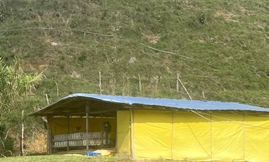 Venta Finca Ganadera y Agrícola en Santo Domingo Antioquia