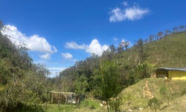 Venta Finca Ganadera y Agrícola en Santo Domingo Antioquia