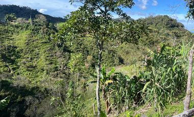 Venta Finca Ganadera y Agrícola en Santo Domingo Antioquia
