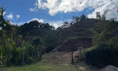 Venta Finca Ganadera y Agrícola en Santo Domingo Antioquia