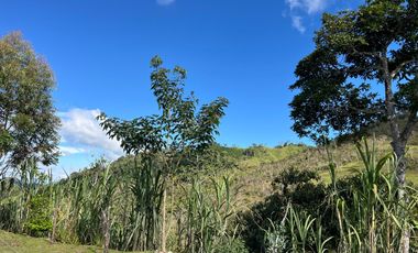 Venta Finca Ganadera y Agrícola en Santo Domingo Antioquia