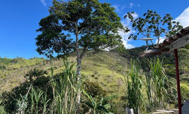 Venta Finca Ganadera y Agrícola en Santo Domingo Antioquia