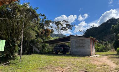 Venta Finca Ganadera y Agrícola en Santo Domingo Antioquia
