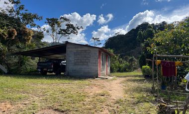 Venta Finca Ganadera y Agrícola en Santo Domingo Antioquia