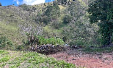 Venta Finca Ganadera y Agrícola en Santo Domingo Antioquia