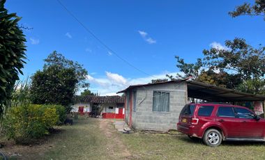 Venta Finca Ganadera y Agrícola en Santo Domingo Antioquia