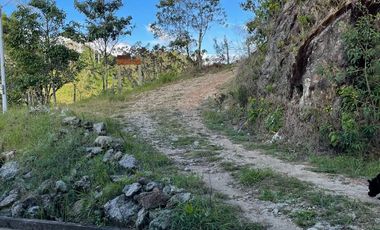 Venta Finca Ganadera y Agrícola en Santo Domingo Antioquia
