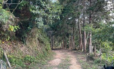 Venta Finca Ganadera y Agrícola en Santo Domingo Antioquia