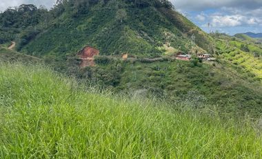 Venta Finca Ganadera y Agrícola en Santo Domingo Antioquia