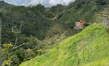 Venta Finca Ganadera y Agrícola en Santo Domingo Antioquia