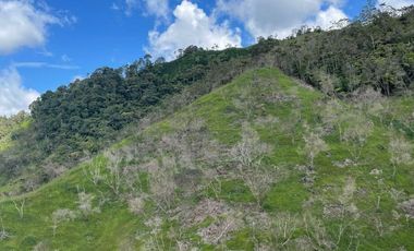 Venta Finca Ganadera y Agrícola en Santo Domingo Antioquia