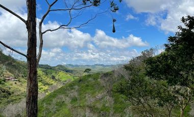 Venta Finca Ganadera y Agrícola en Santo Domingo Antioquia