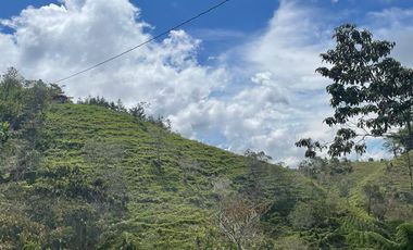 Venta Finca Ganadera y Agrícola en Santo Domingo Antioquia