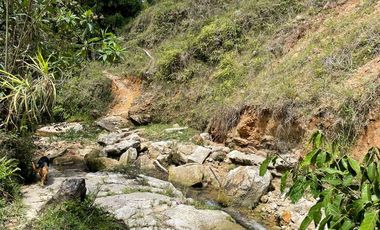Venta Finca Ganadera y Agrícola en Santo Domingo Antioquia
