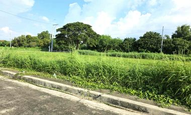Residential Lot for Sale at Dasmarinas City Cavite near Daang Hari & Aguinaldo highway