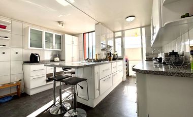 Se Vende 3 Dormitorios, Cocina Remodelada, Terraza Norte. Estacionamiento + Bodega, Providencia
